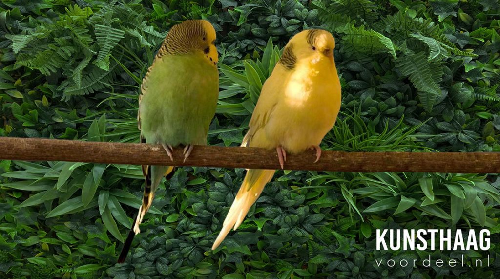 Voliere achterwand kunstgroen