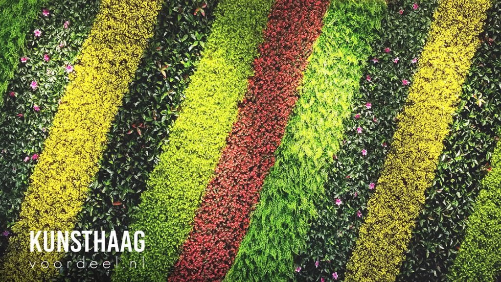 Kunsthaagvoordeel diverse kleuren en soorten