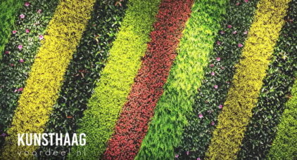 Kunsthaagvoordeel diverse kleuren en soorten