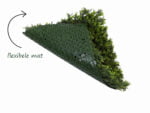 Asplenium viride flexibele mat