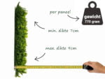 Asplenium viride kunsthaag zijkant