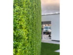Buxus muisdoorn Kunsthaag project foto 3