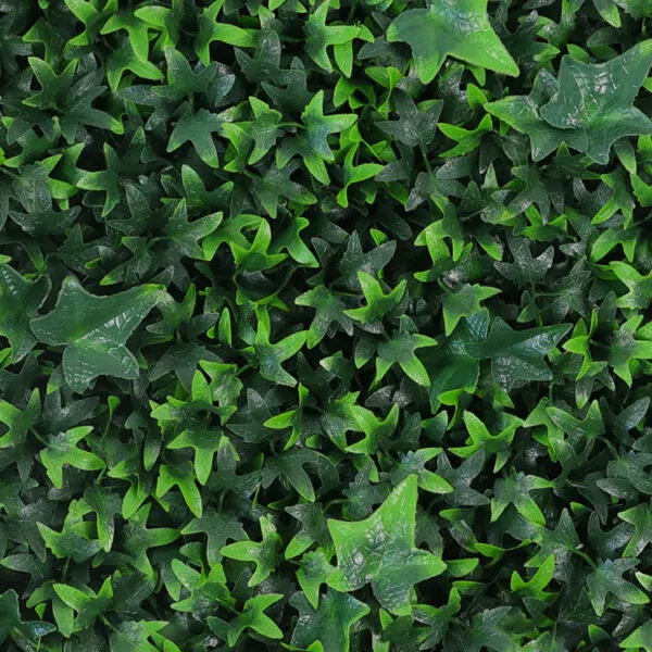 Hedera sterblad kunsthaag detail