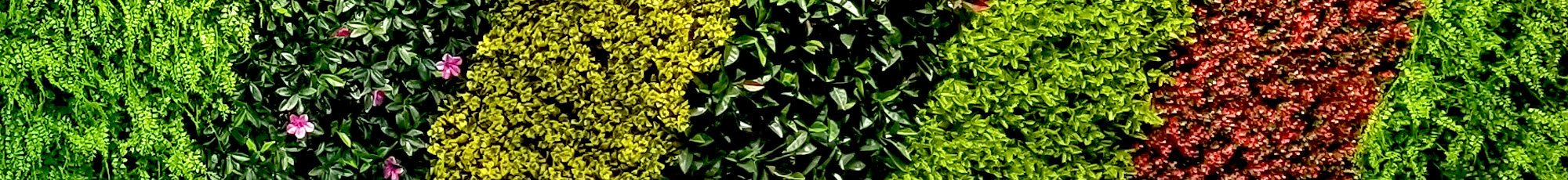 Kunsthaag op rol | Kunsthagen op rol