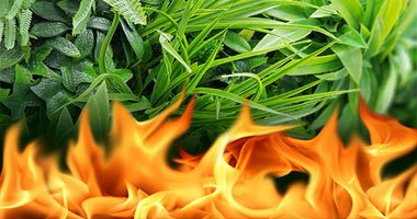 Kunsthaag plantenwand brandvertragende uitvoering materiaal klasse C klasse B