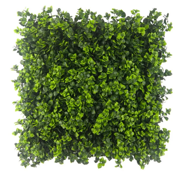 Leucodendron groen kunsthaag