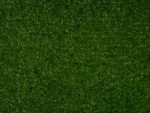 Mos duizendblad Moswand - 50x50cm - Dichte achterkant - High density - Afbeelding 4