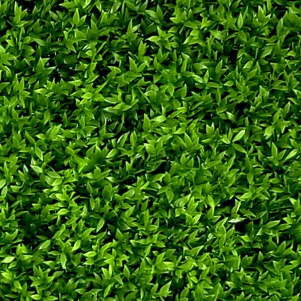 Kunsthaag op rol kopen? Bekijk ons assortiment kunsthagen!