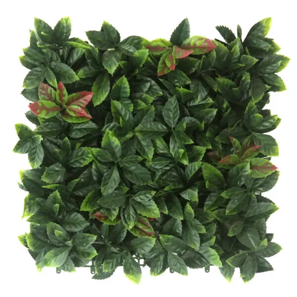 Red Robin punt blad Kunsthaag