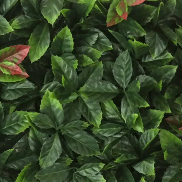 Red Robin punt blad Kunsthaag detail