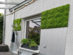 Rendier mos soft green Moswand project foto