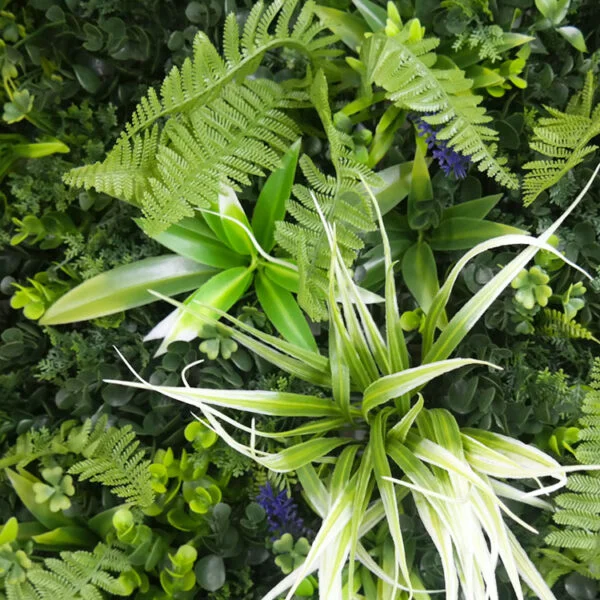 Vegetatie Jungle bloem Plantenwand detail