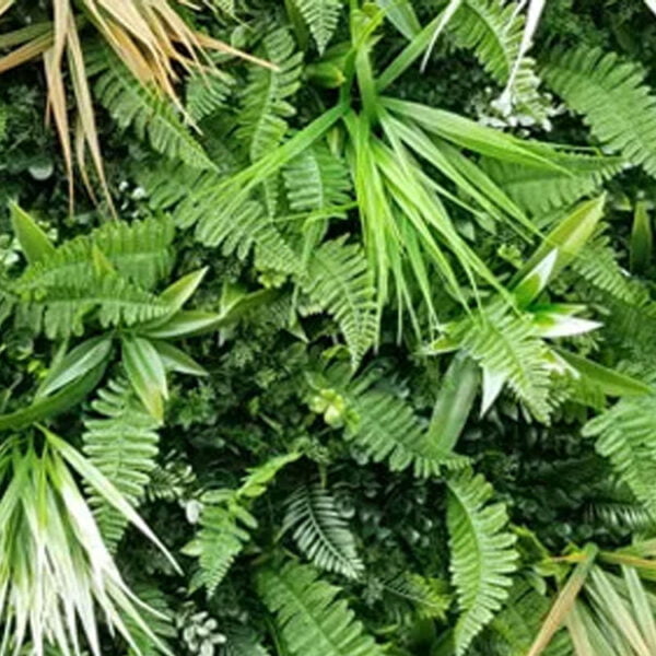 Vegetatie Jungle wit varen Plantenwand detail