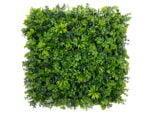 Vegetatie sedum kunsthaag
