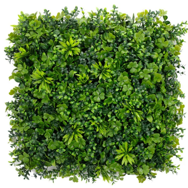 Vegetatie sedum kunsthaag