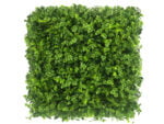 Vegetatie varen klaver kunsthaag