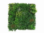 Vegetatie white flower Plantenwand