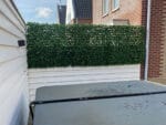 Harmonica kunsthaag Laurier donker toepassing