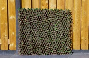 Harmonica kunsthaag Laurier donker achterzijde