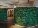 Hedera klimop kunsthaag project foto 5