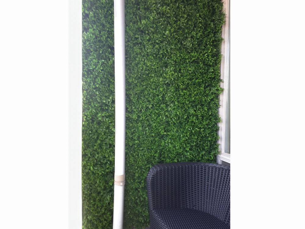 Asplenium viride dark green kunsthaag project foto muur Asplenium viride dark green kunsthaag project foto muur