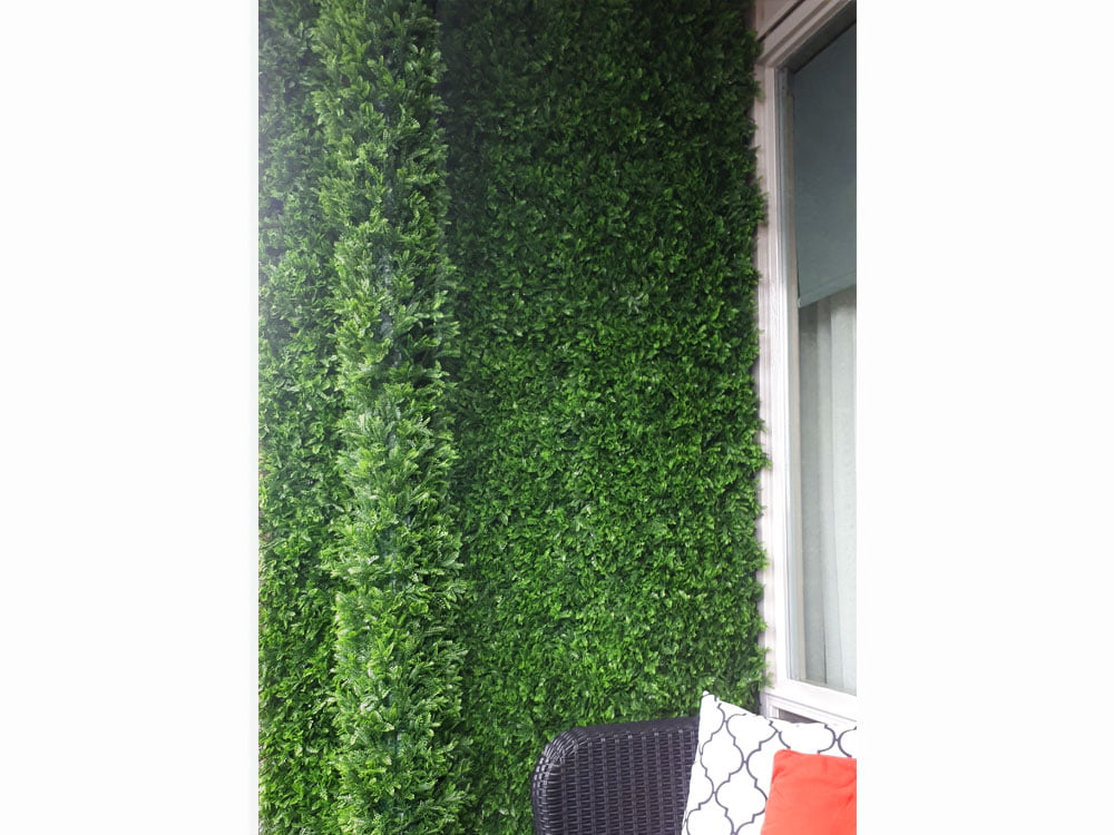 Asplenium viride dark green kunsthaag project foto muur Asplenium viride dark green kunsthaag project foto muur