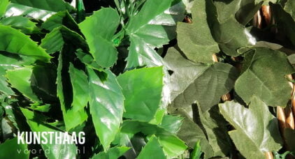 Kunsthaag verschil PE en Polyester blad materiaal