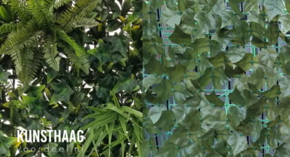 Kunsthaag doorkijk vergelijk basic en premium