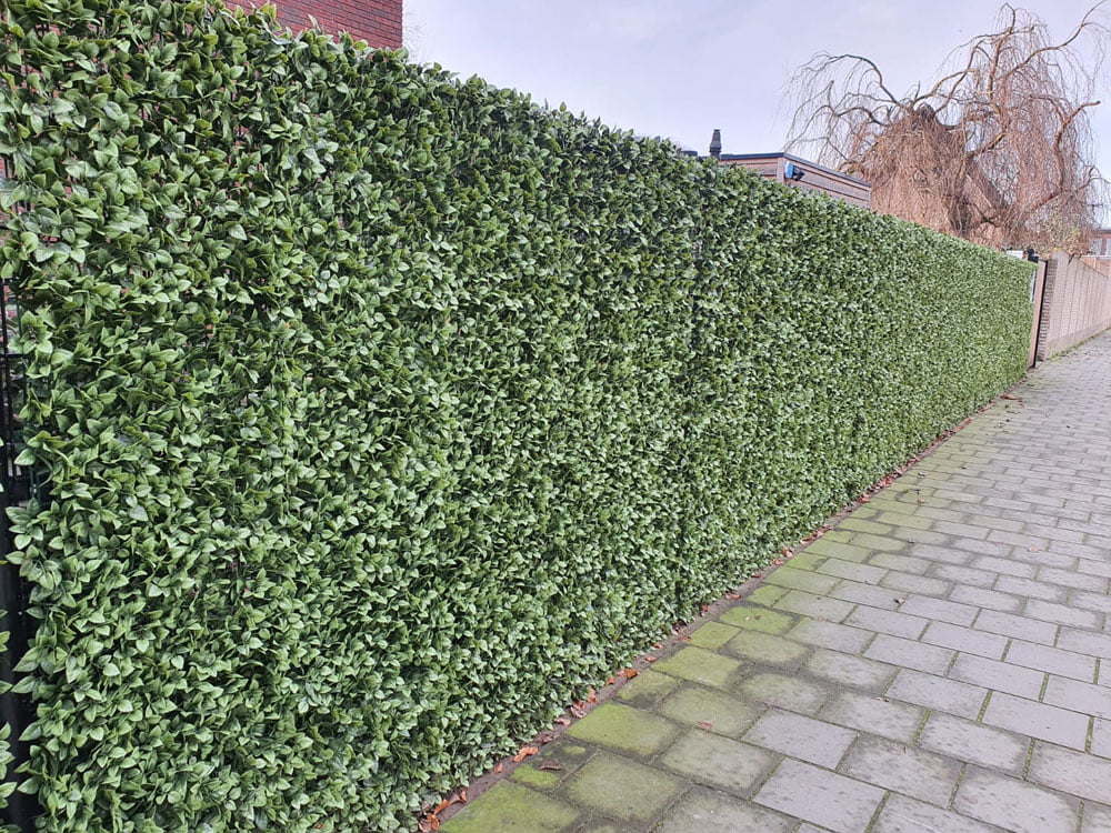 Gardenia kunsthaag project foto Gardenia kunsthaag project foto