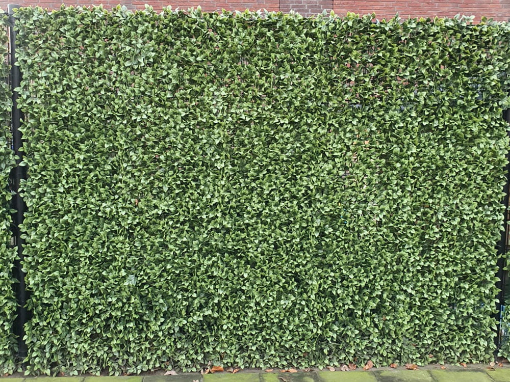 Gardenia kunsthaag project foto 1 Gardenia kunsthaag project foto 1