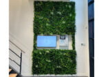 Vegetatie fijn gevarieerd Plantenwand projekt foto