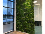 Vegetatie fijn gevarieerd Plantenwand projekt foto 5
