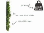 Vegetatie fijn gevarieerd Plantenwand zijkant
