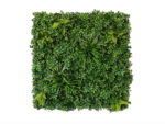 Vegetatie schefflera donker Plantenwand