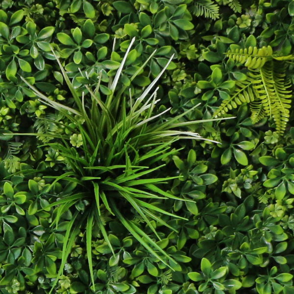 Vegetatie schefflera donker-Plantenwand-detail1