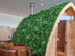 Vegetatie schefflera donker kunsthaag project foto