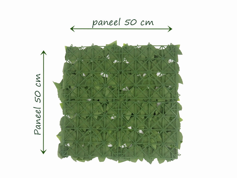 klimop Kunsthaag budget achterkant klimop Kunsthaag budget achterkant