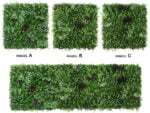 Leliegras bloem wit Plantenwand