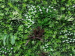 Leliegras bloem wit Plantenwand 100x100cm mat
