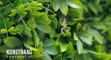 Kunsthaag diervriendelijk insectenhotel