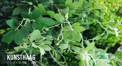 Onderhoudsvrij groen zorgeloos genieten kunsthaagvoordeel