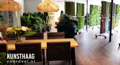 Kunsthaag winkel showroom