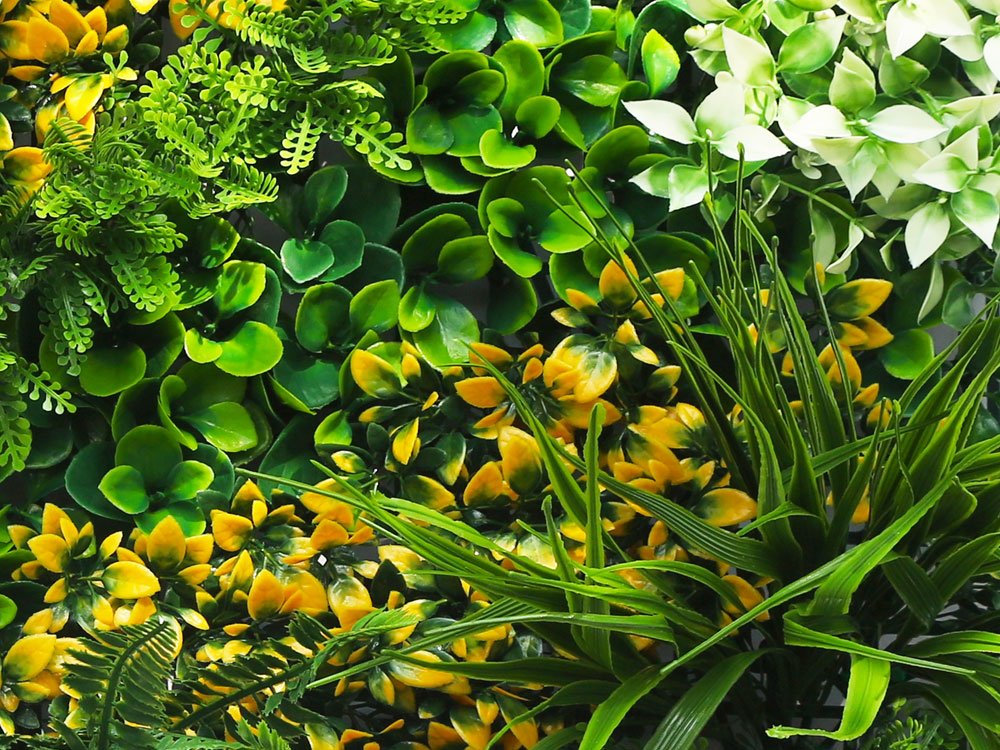 Orange bush Kunsthaag detail Orange bush Kunsthaag detail