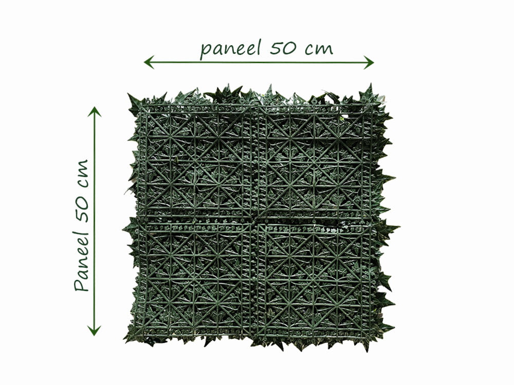 Hedera dichte achterkant Achterzijde koppelmaat Hedera dichte achterkant Achterzijde koppelmaat