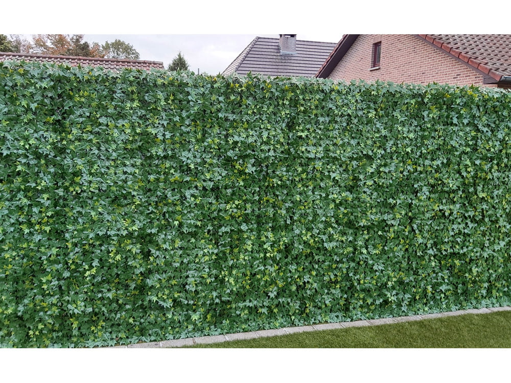 Hedera dichte achterkant project foto 2 Hedera dichte achterkant project foto 2