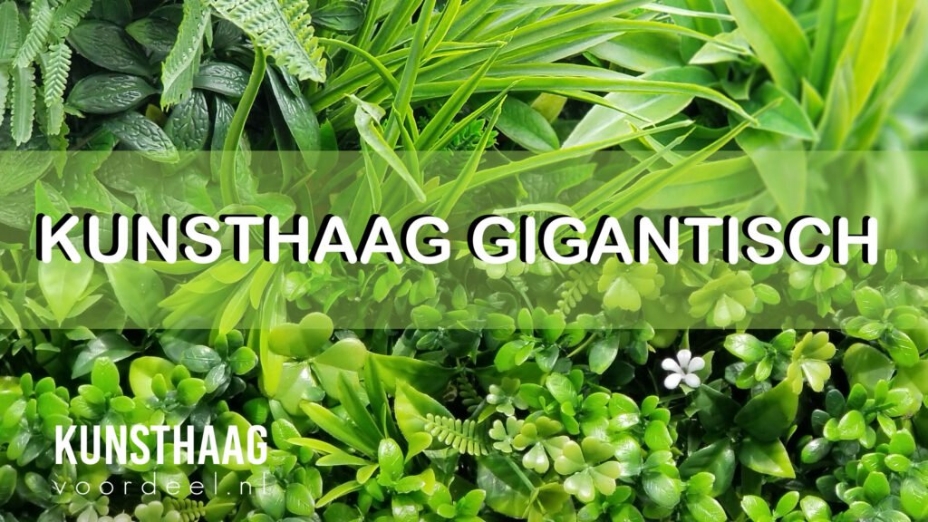 Kunsthaaggigant_Kunsthaagvoordeel gigantisch aanbod