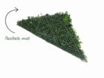 Ruscus varen plantenwand flexibele mat