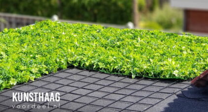 Sedum Kunsthaag dakbedekking