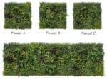 Rode varen gras plantenwand zonder patroon