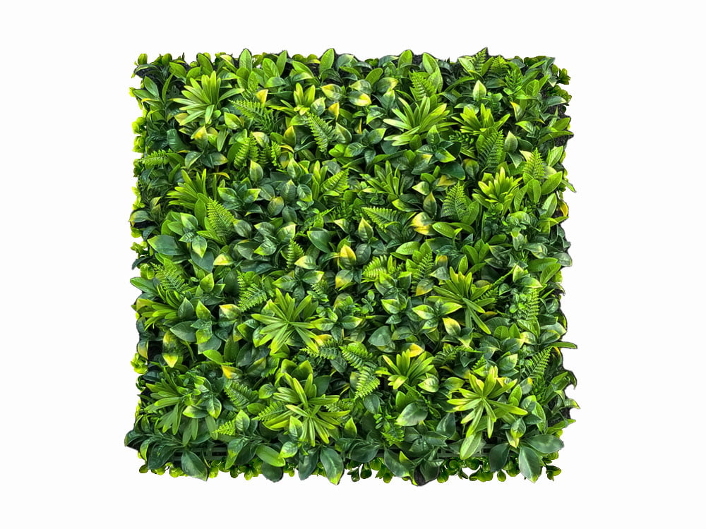 Varen geel gevarieerd Kunsthaag Varen geel gevarieerd Kunsthaag